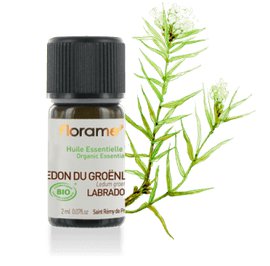 image produit Organoc Labrador Tea essential oil 