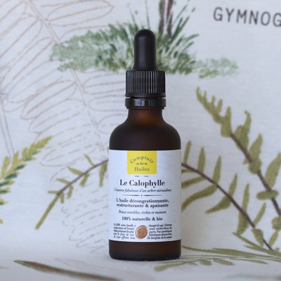 Le Calophylle - vegetable oil - Comptoir des Huiles - Face - Body