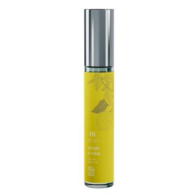 Escale à Cuba - the eau de toilette - estime & sens - Flavours