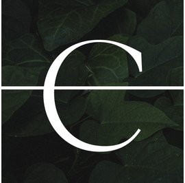 image adherent MILANOVA 