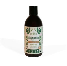 Shampoo - Beroïa - Hygiene - Hair