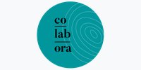 Logo CO-LAB-ORA