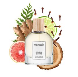 Eau de Parfum Sous La Canopée - ACORELLE - Parfums et eaux de toilette