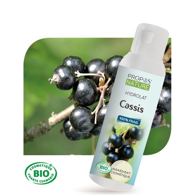 Hydrolat de Cassis - PROPOS NATURE - Visage - Ingrédients diy