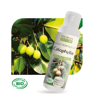 Huile Végétale Calophylle Bio - PROPOS NATURE - Diy ingredients