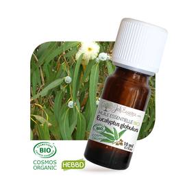 image produit Huile essentielle Eucalyptus globulus Bio