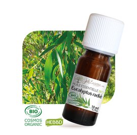 Huile essentielle Eucalyptus radié Bio - Joli'Essence - Ingrédients diy
