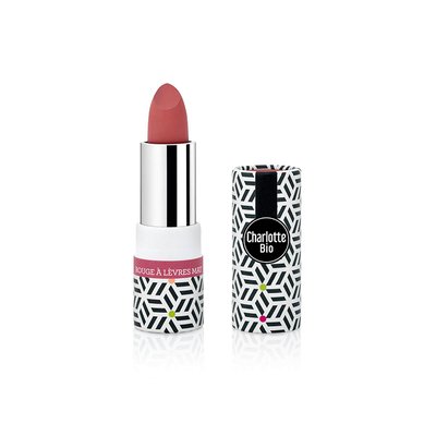Perfect red mat lipstick - Charlotte Bio - Makeup