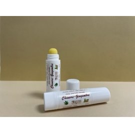 Baume à lèvres chanvre gingembre - BIOSIRIS - Visage