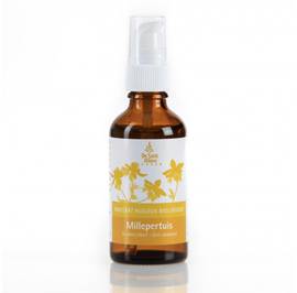 image produit Macérat huileux de millepertuis
