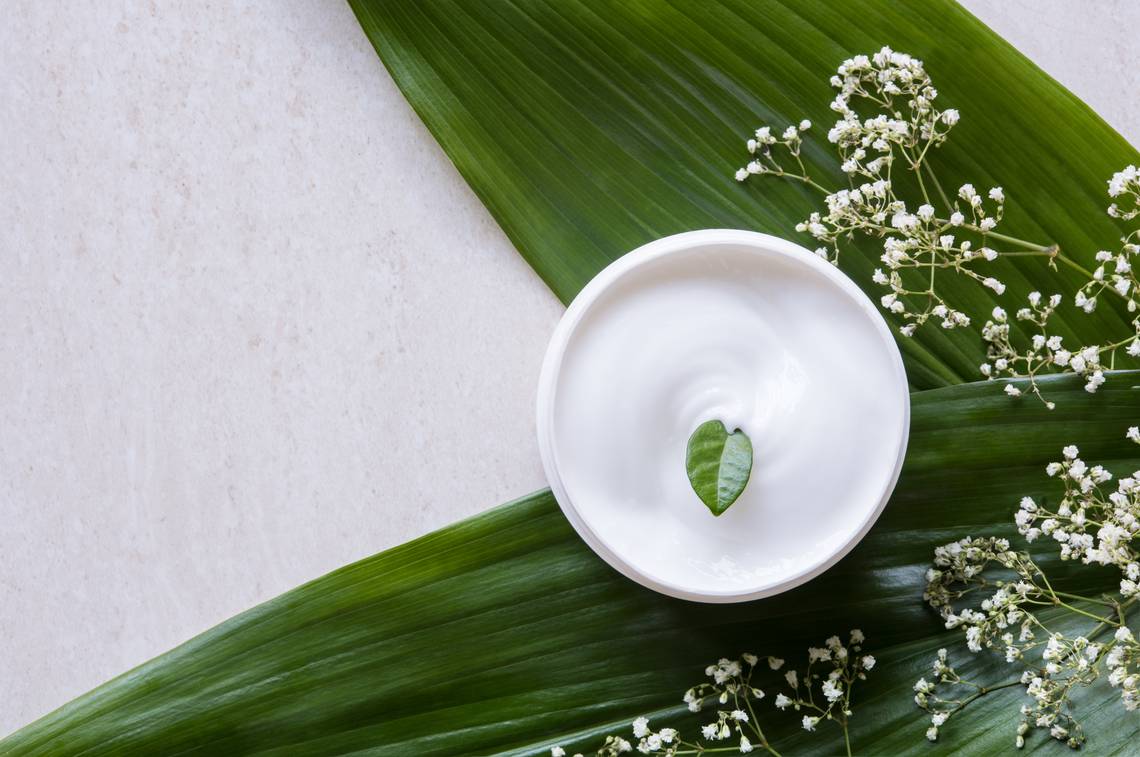 feuilles vertes pour montrer le côté naturel d'une crème hydratante pour peau mixte