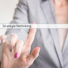 formation netlinking backlinks seo