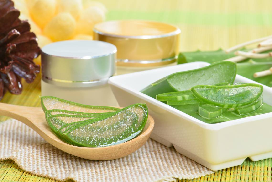L'aloe vera, la plante aux multiples bienfaits cosmétiques